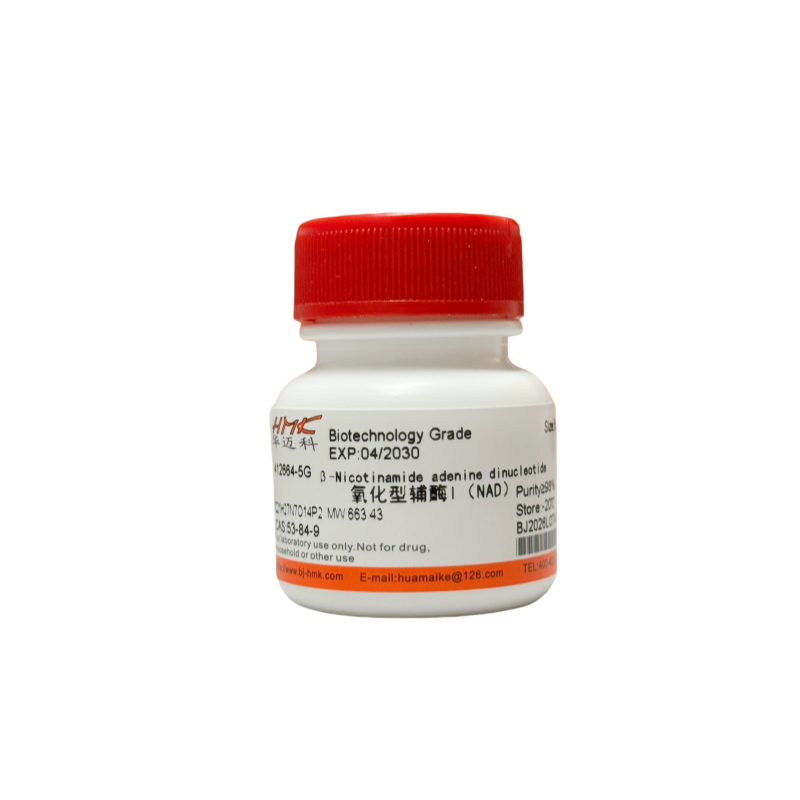 氧化型辅酶I（NAD）